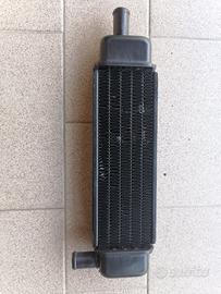 Radiatore Phantom F12