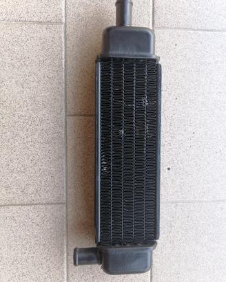 Radiatore Phantom F12