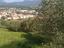 Immagine 20