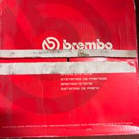 Coppia Dischi Freni Brembo BMW serie 5 /serie 7