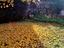 Immagine 17