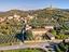 Immagine 11