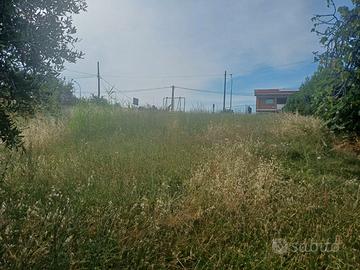 Terreno edificabile cologna paese