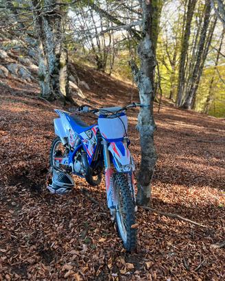 Yamaha YZ 125 - Motore Maggiora