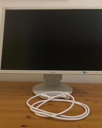 Monitor NEC MultiSync EA244WMi