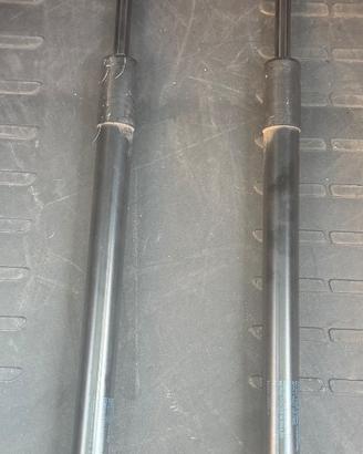 Ammortizzatori portellone posteriore Toyota Rav 4 