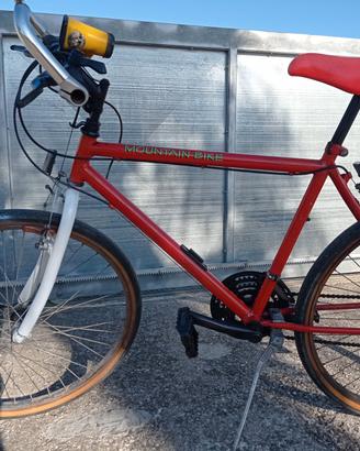 BICI MONTANBAIC