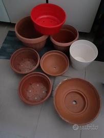 Vasi piante