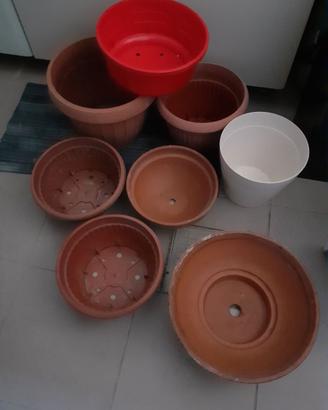 Vasi piante