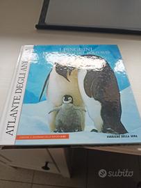 libro i pinguini e gli animali del polo sud 