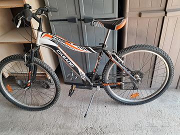 Mountain bike ragazzo