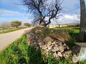 Terreno con fabbricato
