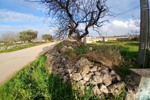 Terreno con fabbricato