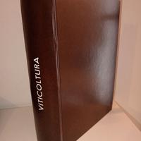 libro vintage Viticoltura Tecnico Pratica 1885