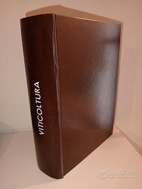 libro vintage Viticoltura Tecnico Pratica 1885