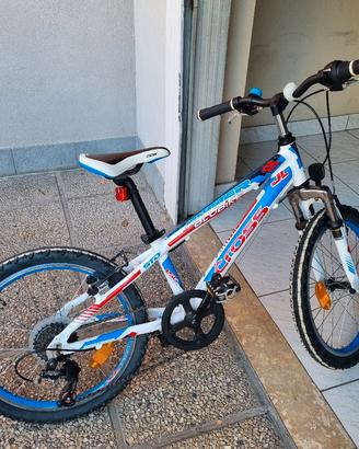Bicicletta 