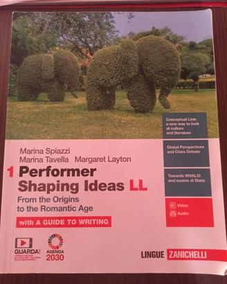 PERFORMER, SHAPING IDEAS LL