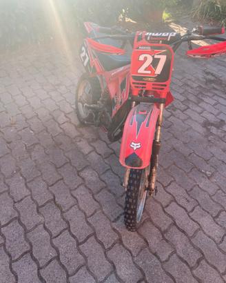Minimoto grizzly malaguti