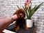 Immagine 28