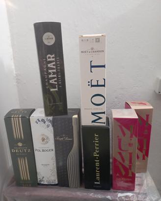 Lotto Bottiglie Champagne Vari parte 1