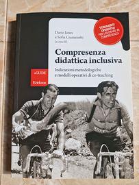 Compresenza didattica inclusiva. Le Guide Erickson