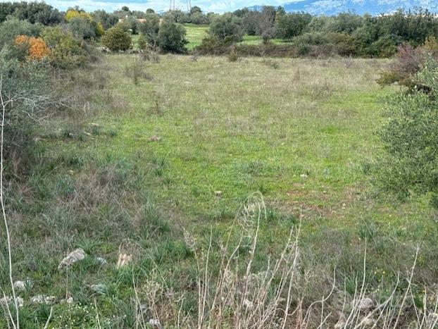 Solarino zona trigona ampio terreno agricolo mq 80