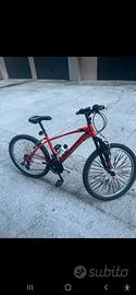 bicicletta mountain bike da ragazzino. 