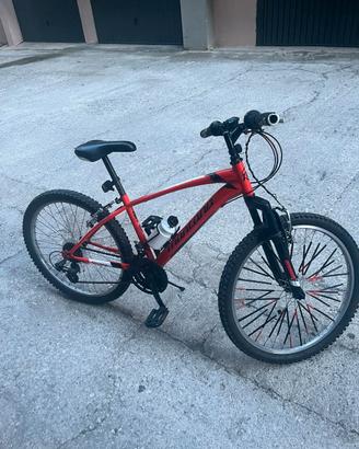 bicicletta mountain bike da ragazzino. 