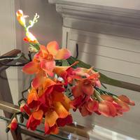 Orchidea Cymbidium Orange finti