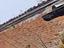Immagine 16