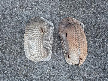 Scudo termico catalizzatore Lotus Elise Exige