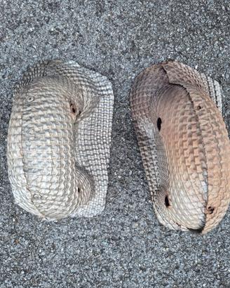 Scudo termico catalizzatore Lotus Elise Exige