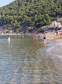 Aff. Appartamento a 13 metri dal mare