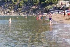 Aff. Appartamento a 13 metri dal mare