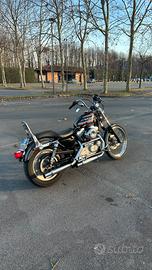 Harley Davidson Sportster 883 custom anno 2003