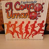 Esplorando il corpo umano