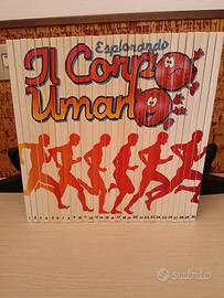 Esplorando il corpo umano