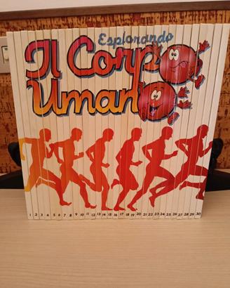 Esplorando il corpo umano