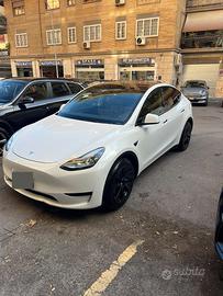 Model Y
