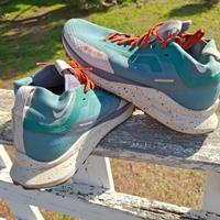 Nike Pegasus Trail 4