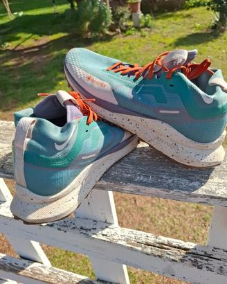 Nike Pegasus Trail 4
