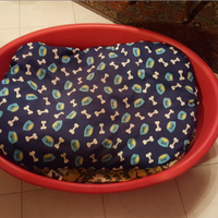 Cuccia divano per cani