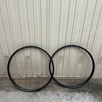 Coppia cerchi race face ar 30 offset solo canale