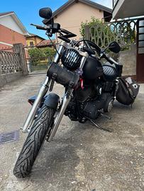 Dyna Street bob