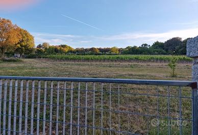 Vendita vigneto con terreno agricolo