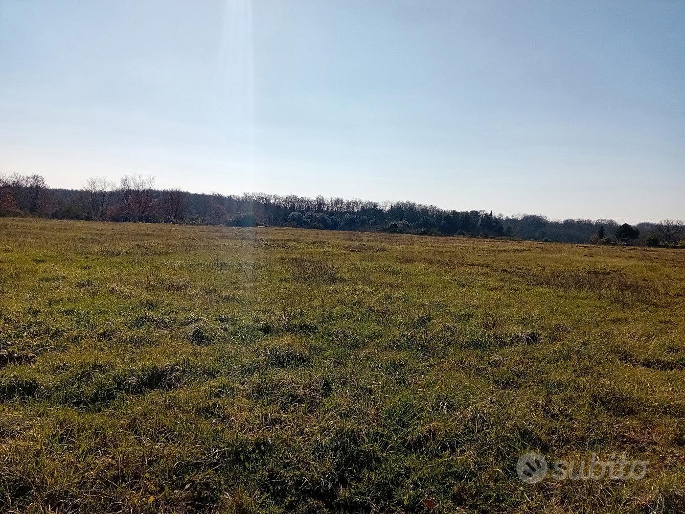 Terreno Residenziale Nepi [Cod. rif 3339933VRG] - Vista 5