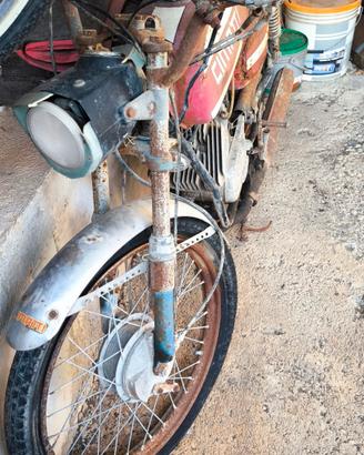 cimatti 50 cc