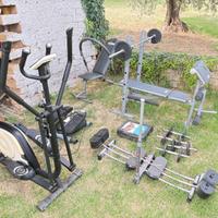 Set Palestra