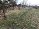rif-3276-terreno-agricolo-chioggia
