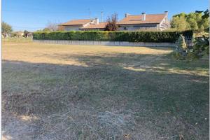 C.C. 1018/2024 Verona